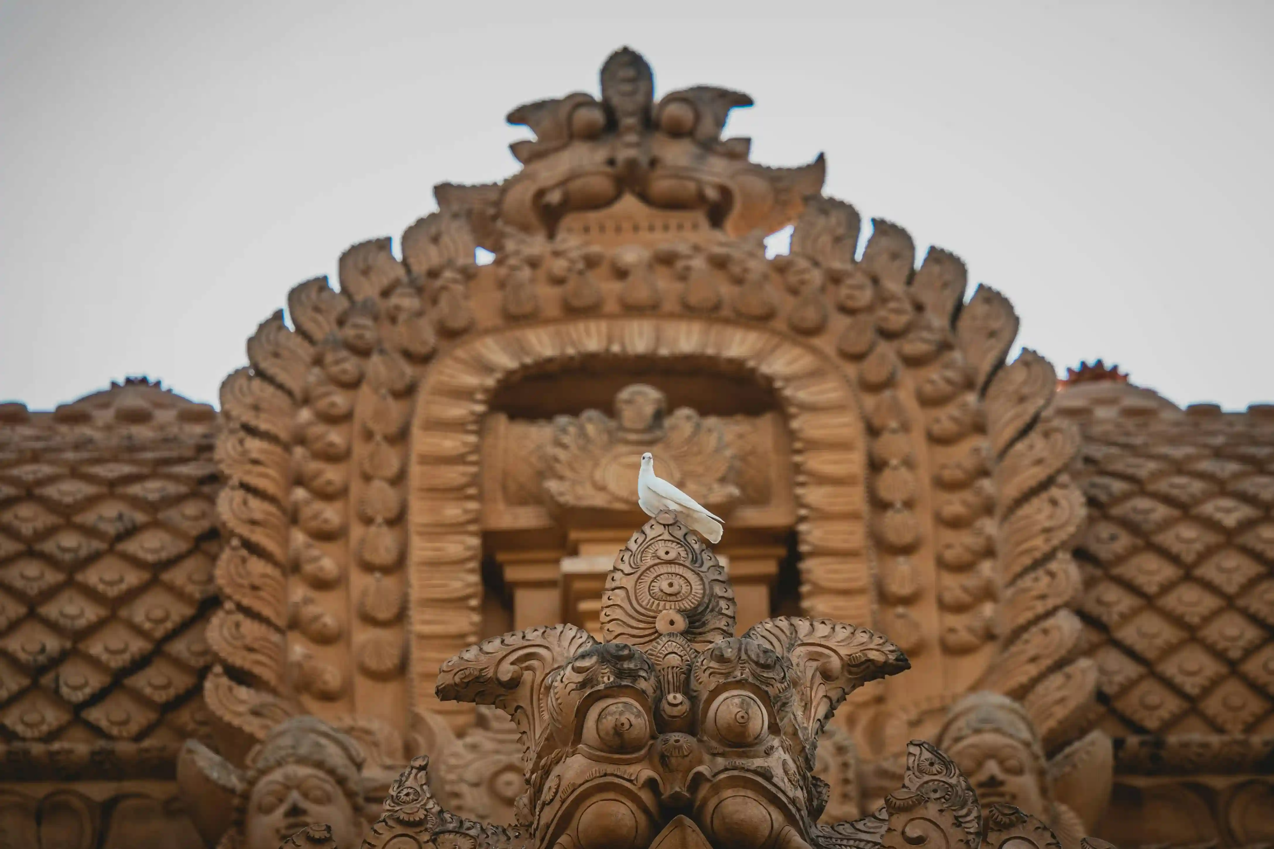 Main Image