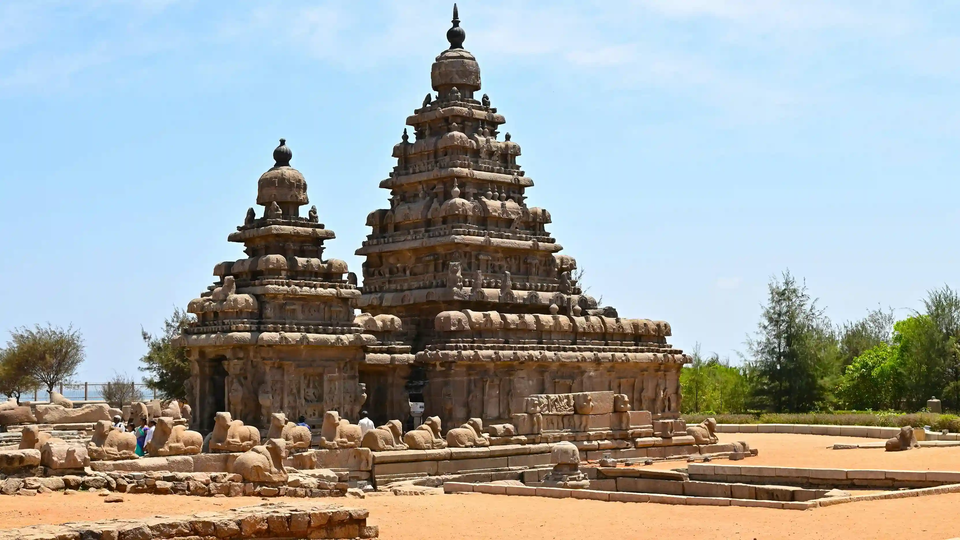 Main Image