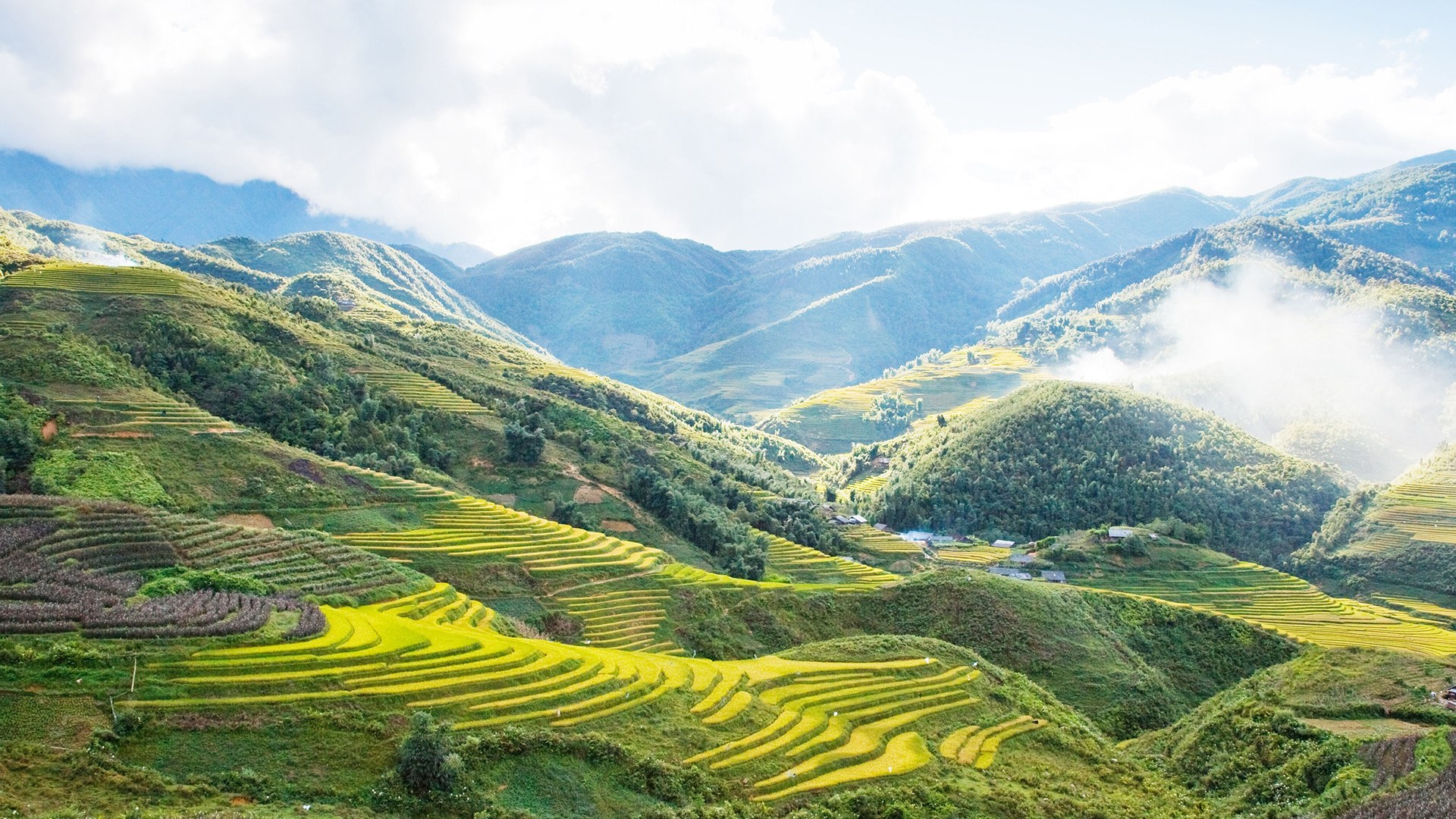 Competitive Pricing and Exceptional Service: Tips for choosing right tour.  Travel Blog