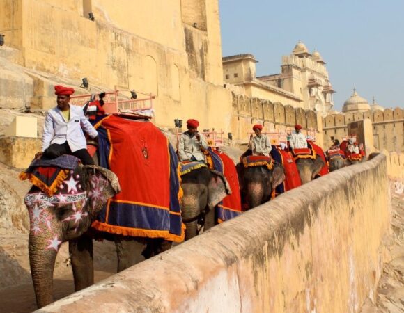 Rajasthan Tour