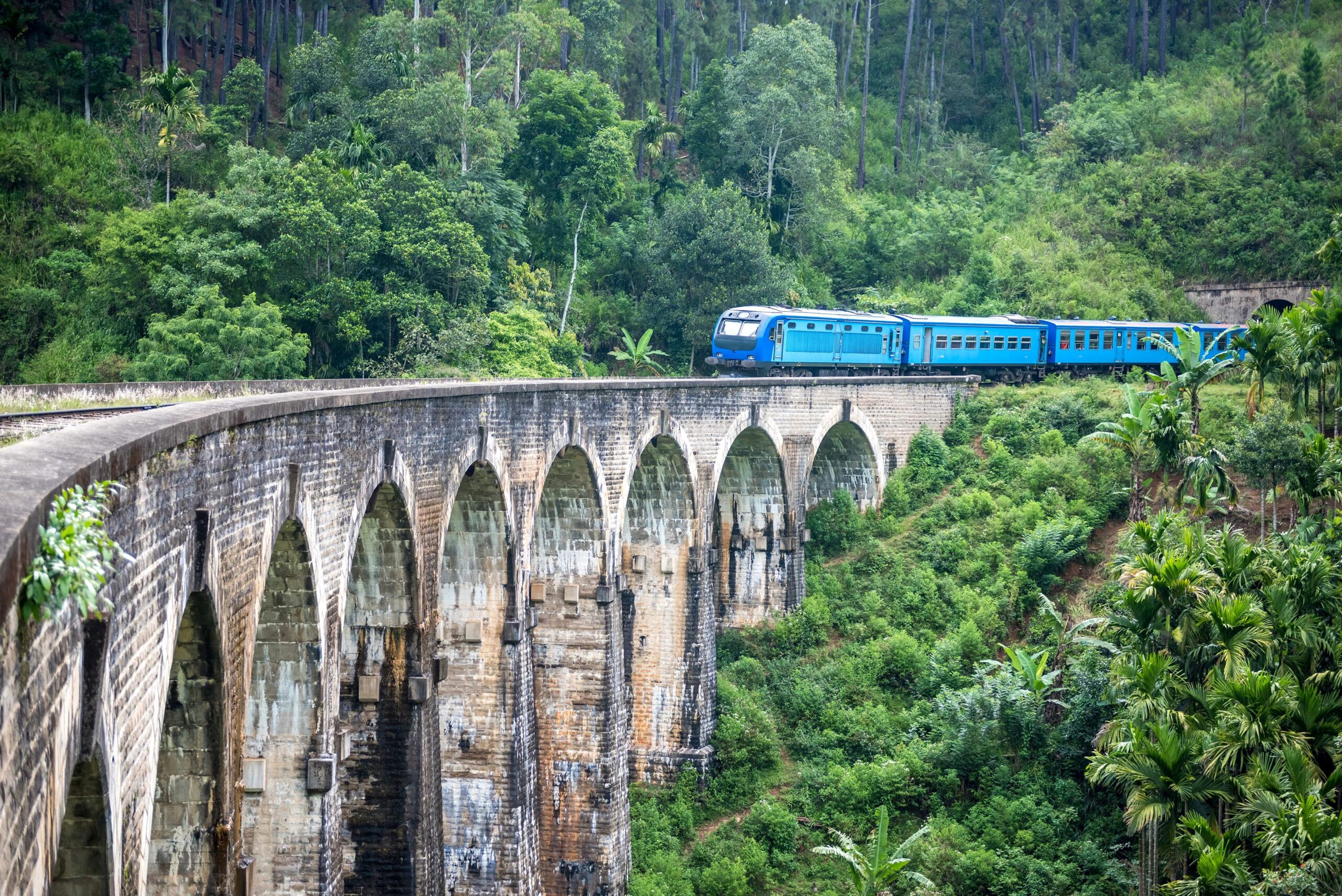 Holidays in Sri Lanka