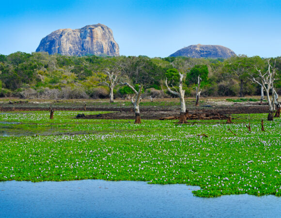 Historic tour of Sri Lanka