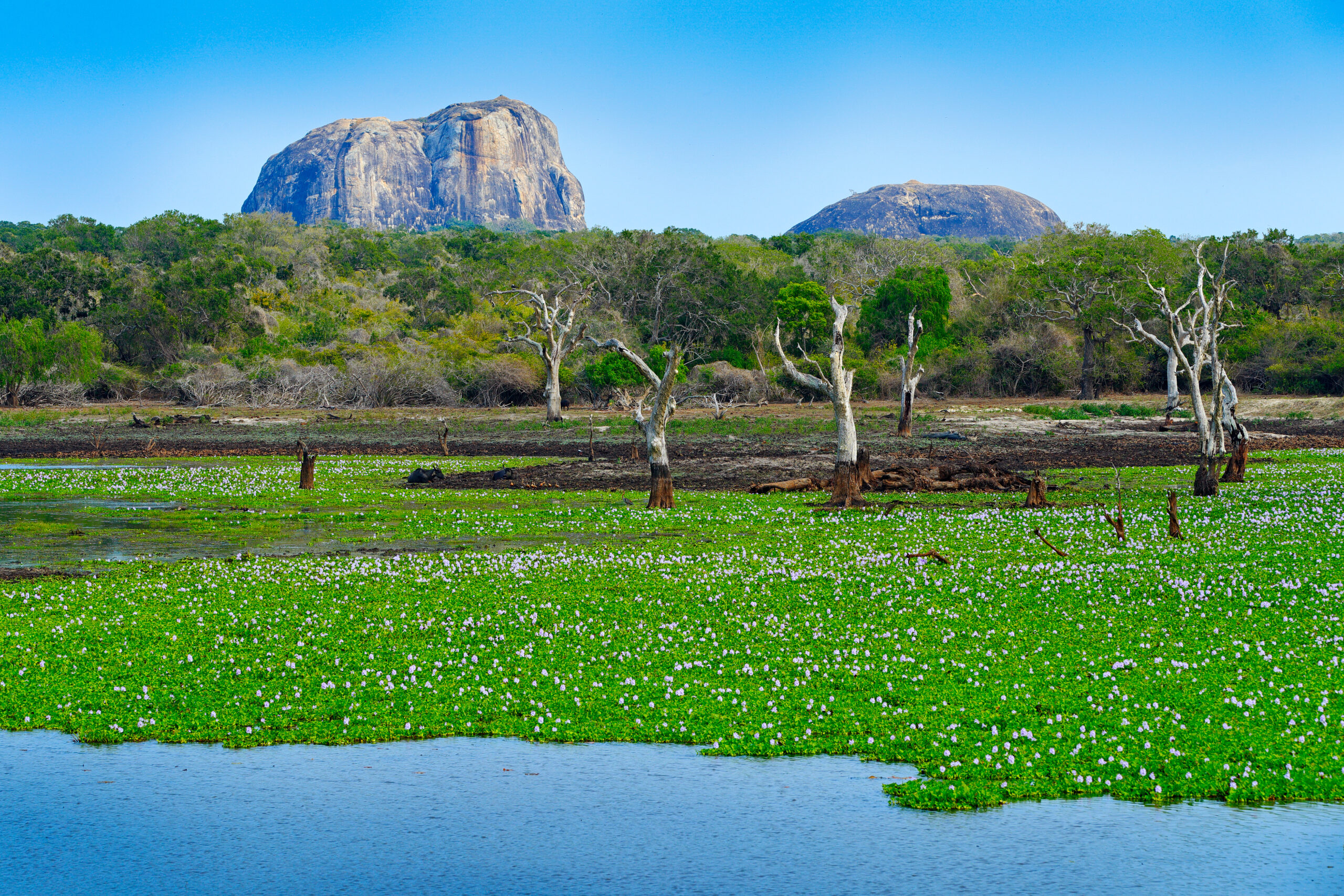 Historic tour of Sri Lanka