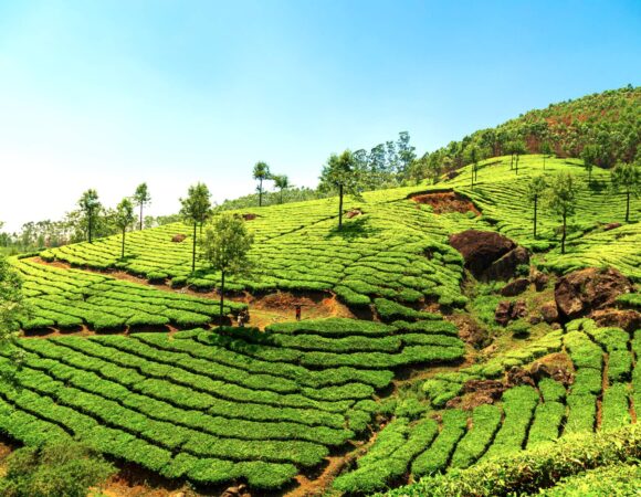 Kerala Holiday Tour