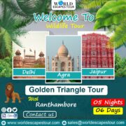 Golden triangle tour with Ranthambore.