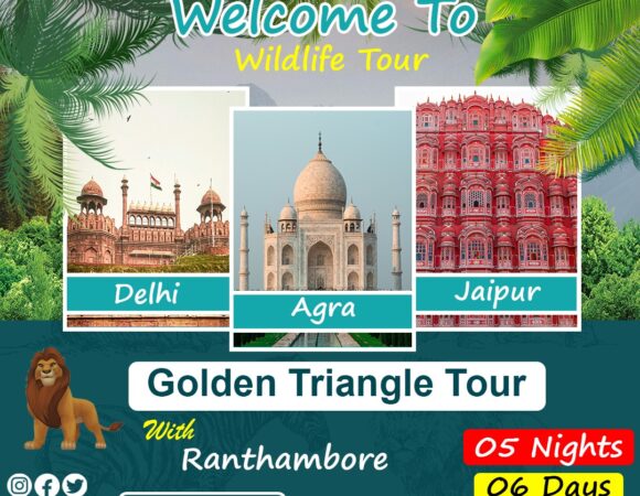 Golden triangle tour with Ranthambore