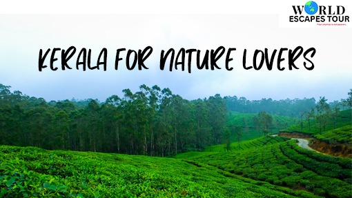 Kerala for Nature Lovers